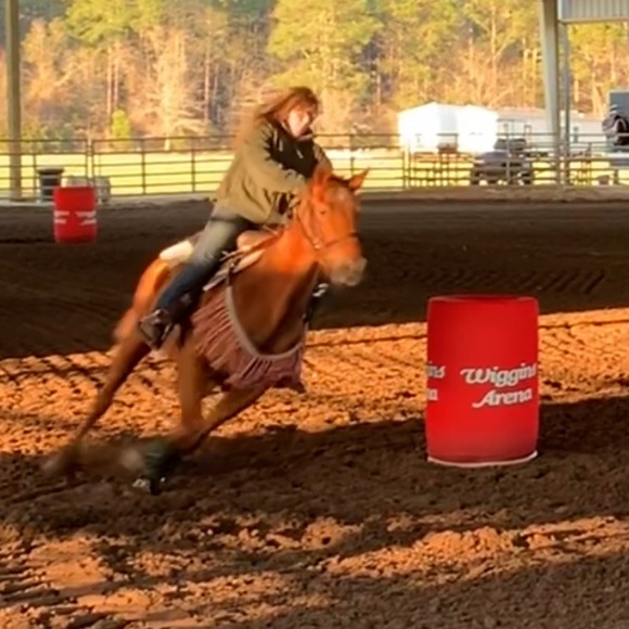 Meet your Posher, Maddox - Picture 1 of 1